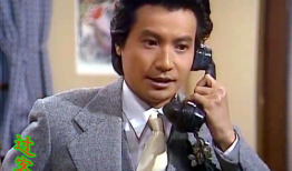 苗乔伟主演的电视剧,传奇人生，荧幕风采